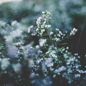 国产精品无码一区二区三区
